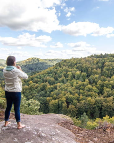 Massif des Vosges - Prendre un bain de forêt