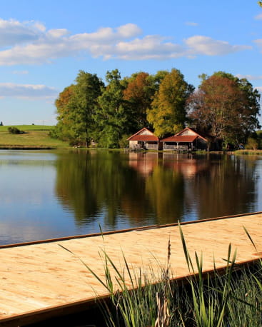 Pèche et sauna au Domaine de la Patte d'Oie