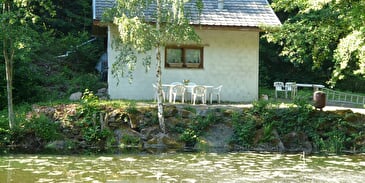 Le nid du moulin des oiseaux