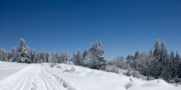 LE HAUT DU TÔT LANGLAUFGEBIET