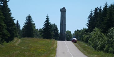 Sommergebiet Champ du Feu