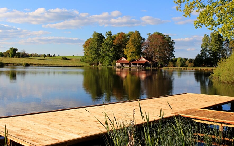 Pêche en etang aux guidons