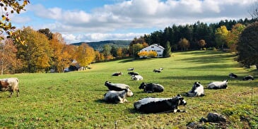 Berg- und Bodenwandern
