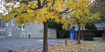 Wohnmobil Entsorgungstation in  Willer-sur-Thur