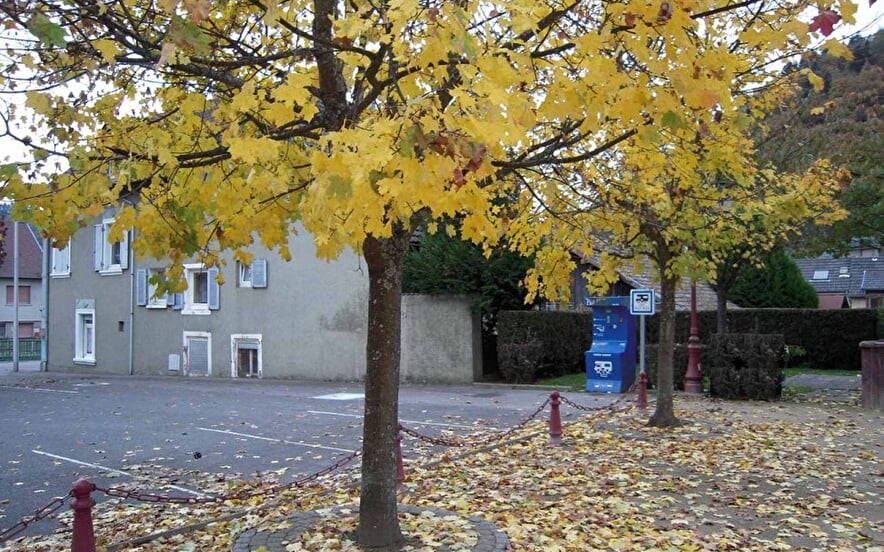 Wohnmobil Entsorgungstation in  Willer-sur-Thur