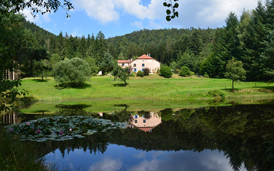 Auberge de la cholotte