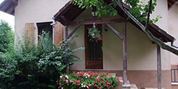 Les Ecureuils