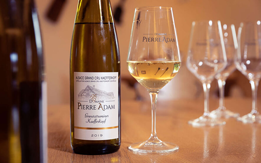 Die Parenthèse Vigneronne ''Einführung In die Weinprobe''