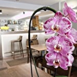 RESTAURANT AUBERGE LORRAINE