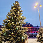 Der Weihnachtszauber