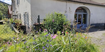 Home Edwige