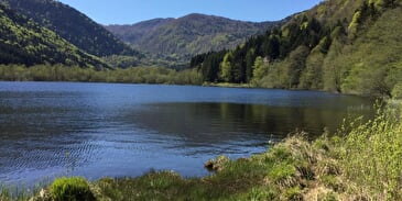 Sewen See