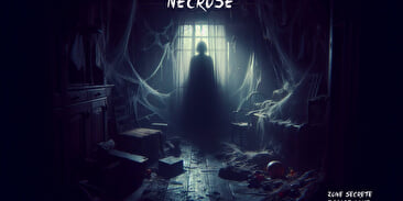 Zone secrète - Escape Game