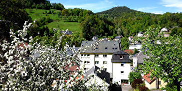Hôtel-restaurant Aux Bruyères