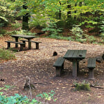 Abri barbecue du Wolfsthal