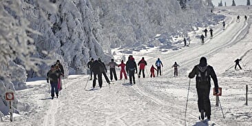 Langlauf am Champ du Feu