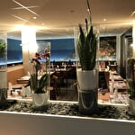 Pizzeria Eisdiele Alba