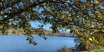 Gite l'Orière des Bois