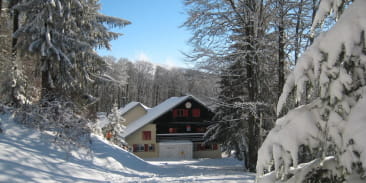 Berghütte Edelweiss