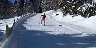 NORDISCHES GEBIET VON VENTRON