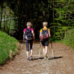Eine Fülle von Aktivitäten im Land von La Petite Pierre