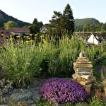 Randonnée 2 jours dans les Vosges avec un guide