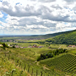 Bacchus Wanderung - Ausflug im Tal von Kaysersberg