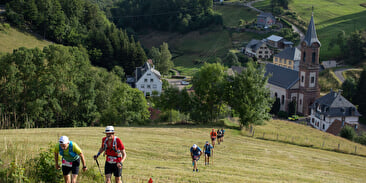 Wandertrail Pays Welche
