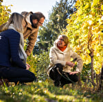 Die Parenthèse Vigneronne ''Wein & Käse“