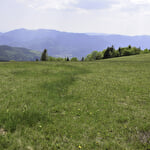 Familienwanderung : Station vom Markstein und Kammstrasse