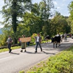 Almabtrieb-Fest