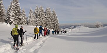 PATRICE MATHIEU - SCHNEESCHUHSPAZIERGÄNGE