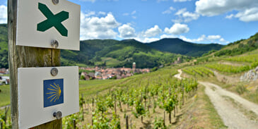Bacchus Wanderung - Ausflug im Tal von Kaysersberg
