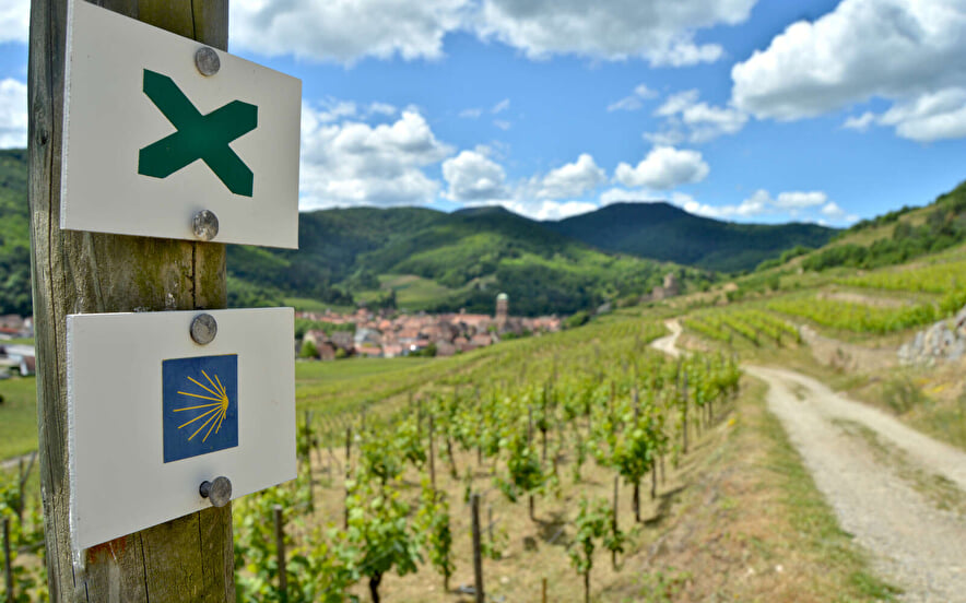 Bacchus Wanderung - Ausflug im Tal von Kaysersberg