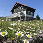 Berghütte Waldmatt