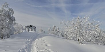 Langlauf und Schneeschuhwanderungen am Donon