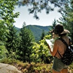 Revitalisierender Aufenthalt AE Mountainbike und Waldbad in den Nordvogesen
