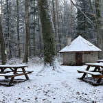 Cabane des trois forestiers