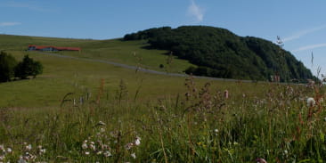 Sommergebiet Ballon d'Alsace