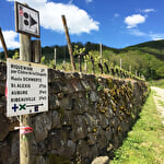 Bacchus Wanderung - Ausflug im Tal von Kaysersberg