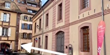 Le cocon du Lion