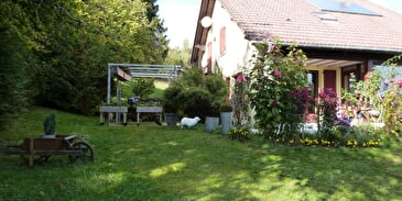 Les Noisetiers