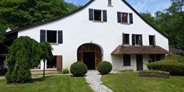 Meuble touristique le moulin des ronces