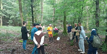 Forêt En Tous Sens