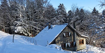 Berghütte Grieb