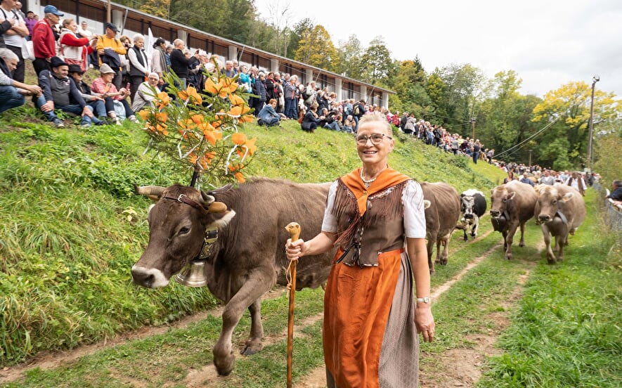 Almabtrieb-Fest