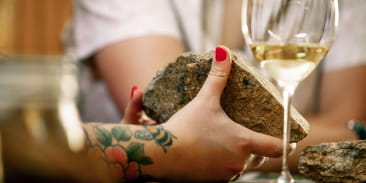 Die Parenthèse Vigneronne ''Die Anbaugebiete Der Elsässischen Edelweine Grands Crus''