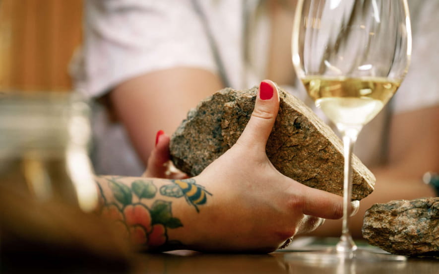 Die Parenthèse Vigneronne ''Die Anbaugebiete Der Elsässischen Edelweine Grands Crus''